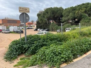 Manca de manteniment al Baix Poble